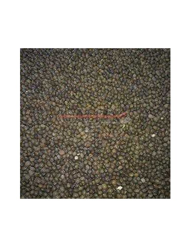 GALIAN COGASA VEZA GALIAN - 25 KG 25 KG - 2