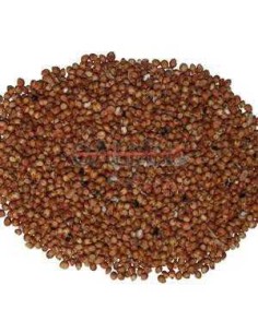 GALIAN COGASA SORGO ROJO GALIAN - 25 KG 25 KG - 2