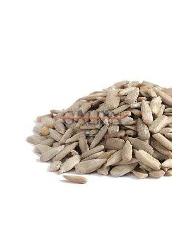 GALIAN COGASA PIPA GIRASOL MONDADA GALIAN - 25 KG 25 KG - 2