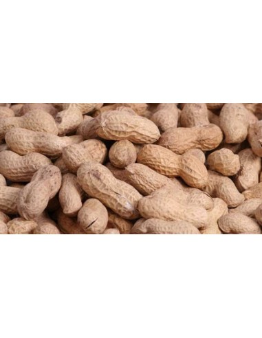 GALIAN COGASA CACAHUETE CON CASCARA TOSTADO GALIAN - 5 KG 5 KG - 2