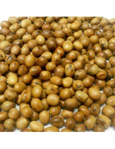 GALIAN COGASA HABONES PARA PALOMAS GALIAN - 25 KG