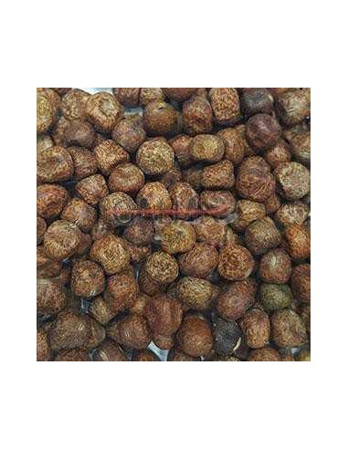 GALIAN COGASA GUISANTE TASMANIA GALIAN - 25 KG 25 KG - 2