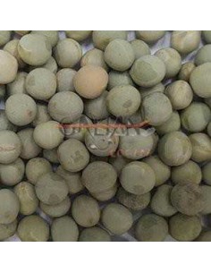 GALIAN COGASA GUISANTE GREEN GALIAN - 25 KG 25 KG - 2