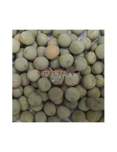 GALIAN COGASA GUISANTE GREEN GALIAN - 25 KG 25 KG - 2