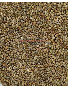 GALIAN COGASA PANICILLO GALIAN - 25 KG 25 KG - 2