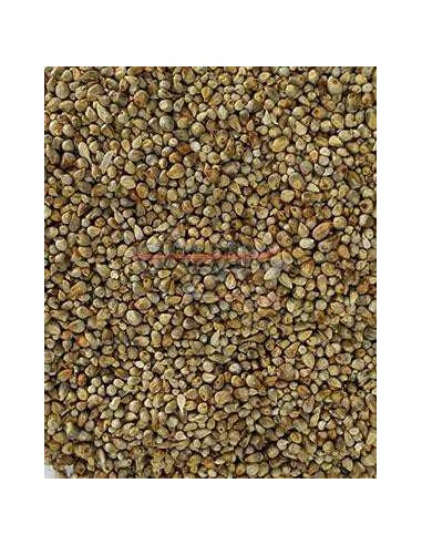 GALIAN COGASA PANICILLO GALIAN - 25 KG 25 KG - 2