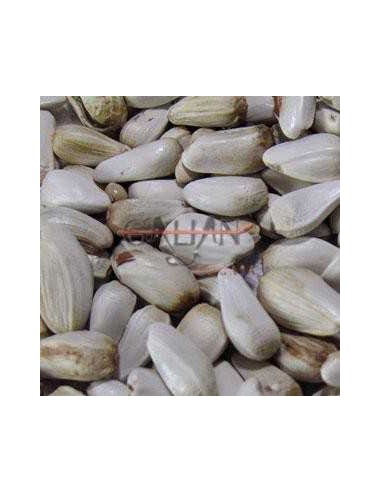 GALIAN COGASA ALAZOR GALIAN 20 KG 700 GR - 2