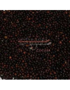 GALIAN COGASA NABINA ROJA GALIAN - 25 KG 25 KG - 2