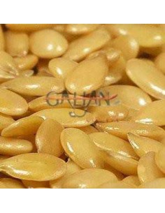 GALIAN COGASA LINAZA AMARILLA GALIAN - 25 KG 25 KG - 2