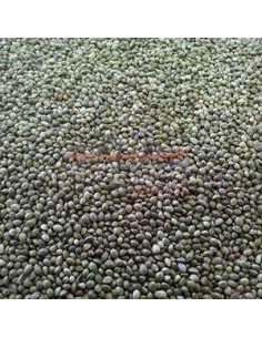 GALIAN COGASA CAÑAMON PEQUEÑO GALIAN 4 KG 20 KG 800 GR - 2