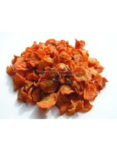 GALIAN COGASA SEMILLA DE ZANAHORIA GALIAN - 20 KG 20 KG - 2