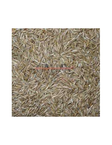 GALIAN COGASA GRASS PAJAROS GALIAN - 10 KG 10 KG - 2
