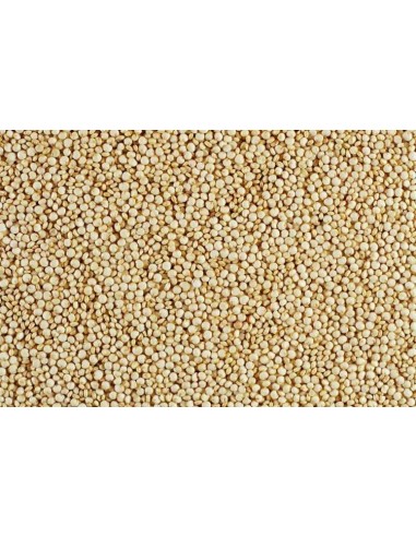 GALIAN COGASA QUINOA BLANCA GALIAN - 25 KG 25 KG - 2