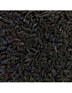 GALIAN COGASA PIPA NEGRA GALIAN - 25 KG 25 KG - 2