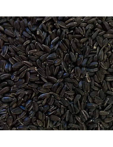 GALIAN COGASA PIPA NEGRA GALIAN - 25 KG 25 KG - 2