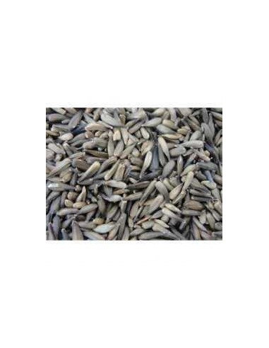 GALIAN COGASA PIPA MICRO GALIAN 4 KG 700 GR - 2