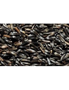 GALIAN COGASA NEGRILLO GALIAN - 25 KG 25 KG - 2