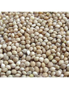 GALIAN COGASA MIJO BLANCO GALIAN - 25 KG 25 KG - 2