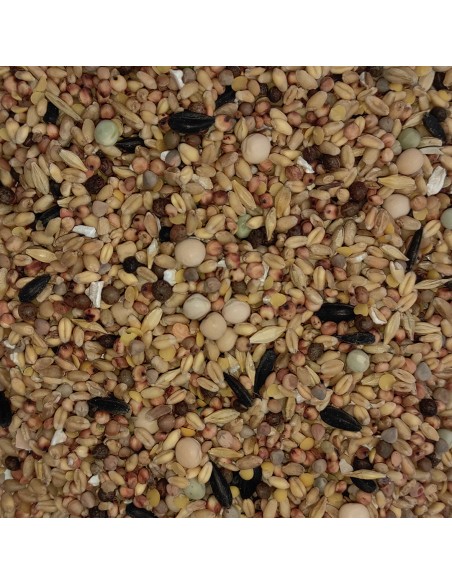 GALIAN COGASA MIXTURA N.1 PALOMOS DEPORTIVOS GALIAN - 20 KG 20 KG - 3