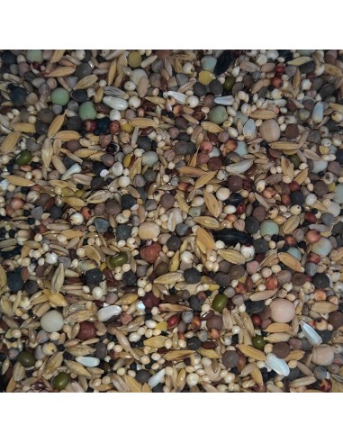 GALIAN COGASA MIXTURA MUDA ENERGETICA PALOMOS DEPORTIVOS - 20 KG 20 KG - 3