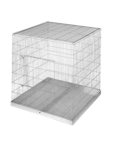 COPELE JAULA EXPOSICION LOROS 