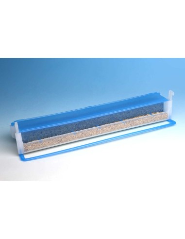 MOLDES AVE COMEDERO EL MURO  - 10