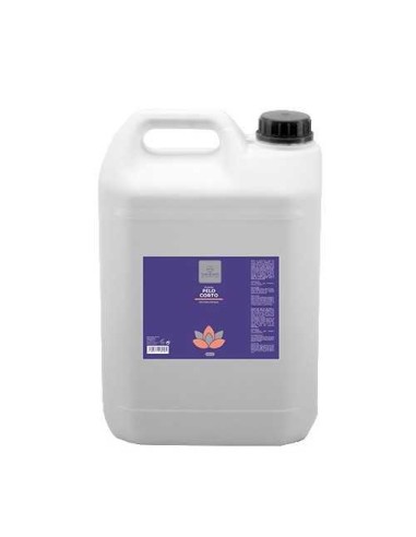 FLOR DE LOTO CHAMPÚ PELO CORTO  - 3