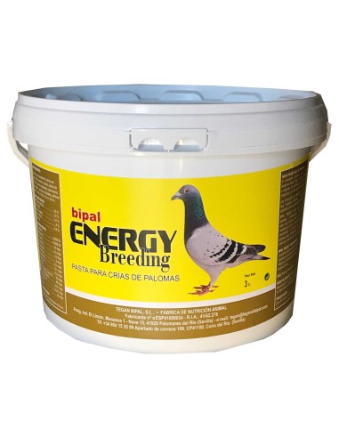 BIPAL ENERGY BREEDING - 2