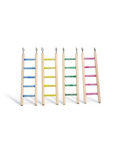 BEEZTEES ESCALERA PEDICURA PARA LOROS 