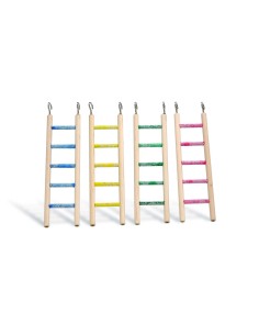 BEEZTEES ESCALERA PEDICURA PARA AGAPORNIS Y PERIQUITOS 