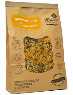 RIBERO GAMMA COAD DEPURATIVA - 100 GR 100 GR - 2
