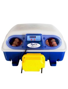 COPELE INCUBADORA REAL AUTOMÁTICA  - 2 2