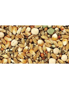 KIKI MIXTURA PARA PERDICES SIN VEZAS - 2 2