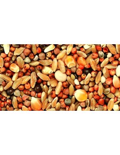 KIKI MIXTURA PARA PERDICES ECO - 2 2