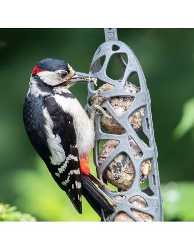 FAUNA PORTA-BOLAS DE GRASA PAJAROS SAM PLÁSTICO RECICLADO - 3