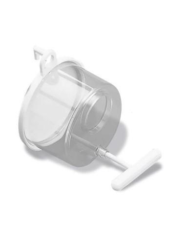 KIKI SEMILLERO N4 - 2