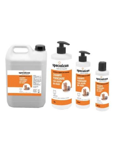 SPECIALCAN CHAMPU YORKSHIRE - 2