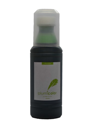 PLUMICOLOR PINTURA PALOMOS PINTA-FACIL - 100 ML PISTACHO - 2