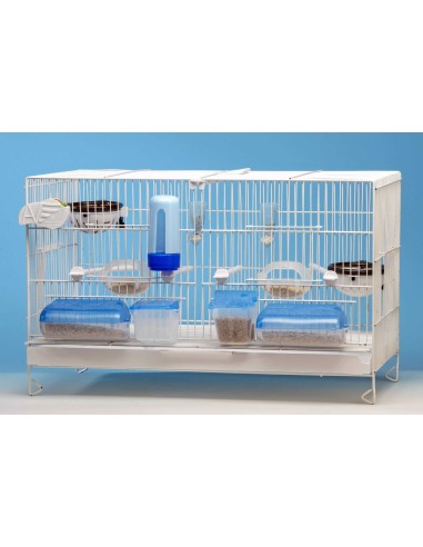 MOLDES AVE COMEDERO DOBLE TAPA AZUL  - 2