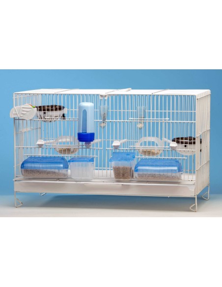 MOLDES AVE COMEDERO DOBLE TAPA AZUL  - 2