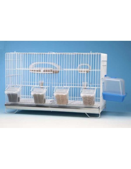 MOLDES AVE COMEDERO TULIPA PESTAÑA  - 2