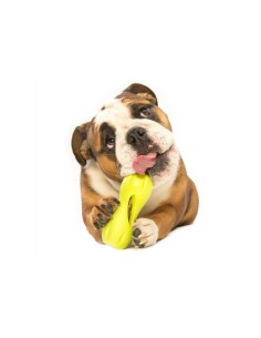 WEST PAY WEST PAW ZOGOFLEX QWIZL JUGUETE PARA PERROS VERDE PASTEL VERDE PASTEL S (14 CM) L (17 CM) - 2 2