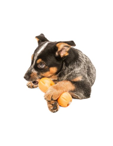 WEST PAY WEST PAW ZOGOFLEX QWIZL JUGUETE PARA PERROS NARANJA NARANJA TURQUESA TURQUESA VERDE PASTEL VERDE PASTEL S (14 CM) - 4