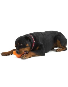 WEST PAY WEST PAW ZOGOFLEX TUX JUGUETE PARA PERROS NARANJA NARANJA TURQUESA TURQUESA VERDE PASTEL VERDE PASTEL S (10 CM) S - 2 2