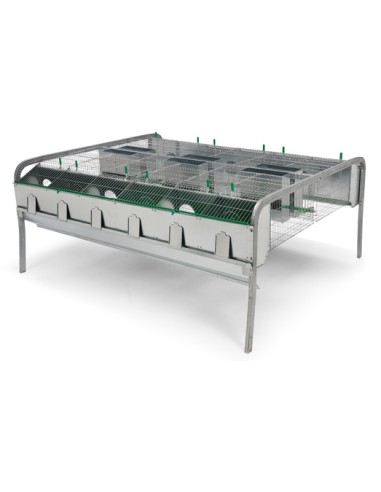 GAUN JAULA CONEJOS POLIVALENTE MODELO LEYBA - 12 DEPARTAMENTOS