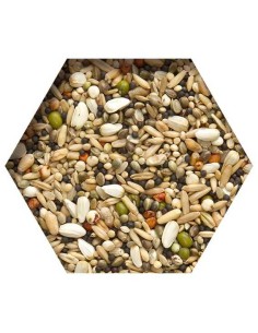 BEYERS TRAPPING MIX MIXTURA PARA CAPTURAS - 2,5 KG - 2 2