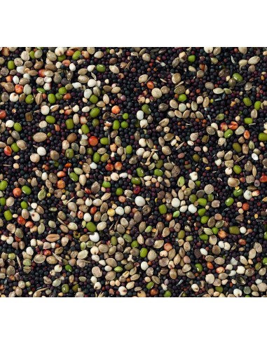DELI NATURE Nº 80 GERMINADO CANARIOS - 20 KG 20 KG - 3