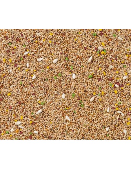 DELI NATURE Nº 11 PERIQUITOS COLORMIX - 20 KG 20 KG - 3