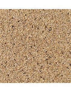 DELI NATURE Nº 85 PERIQUITOS INGLESES CHAMPION - 20 KG 20 KG - 2 2