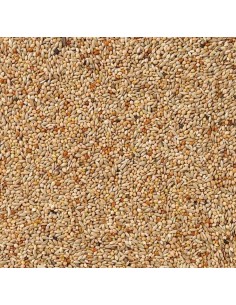 DELI NATURE Nº 40 TROPICALES Y EXÓTICOS BASIC - 20 KG 20 KG - 2 2